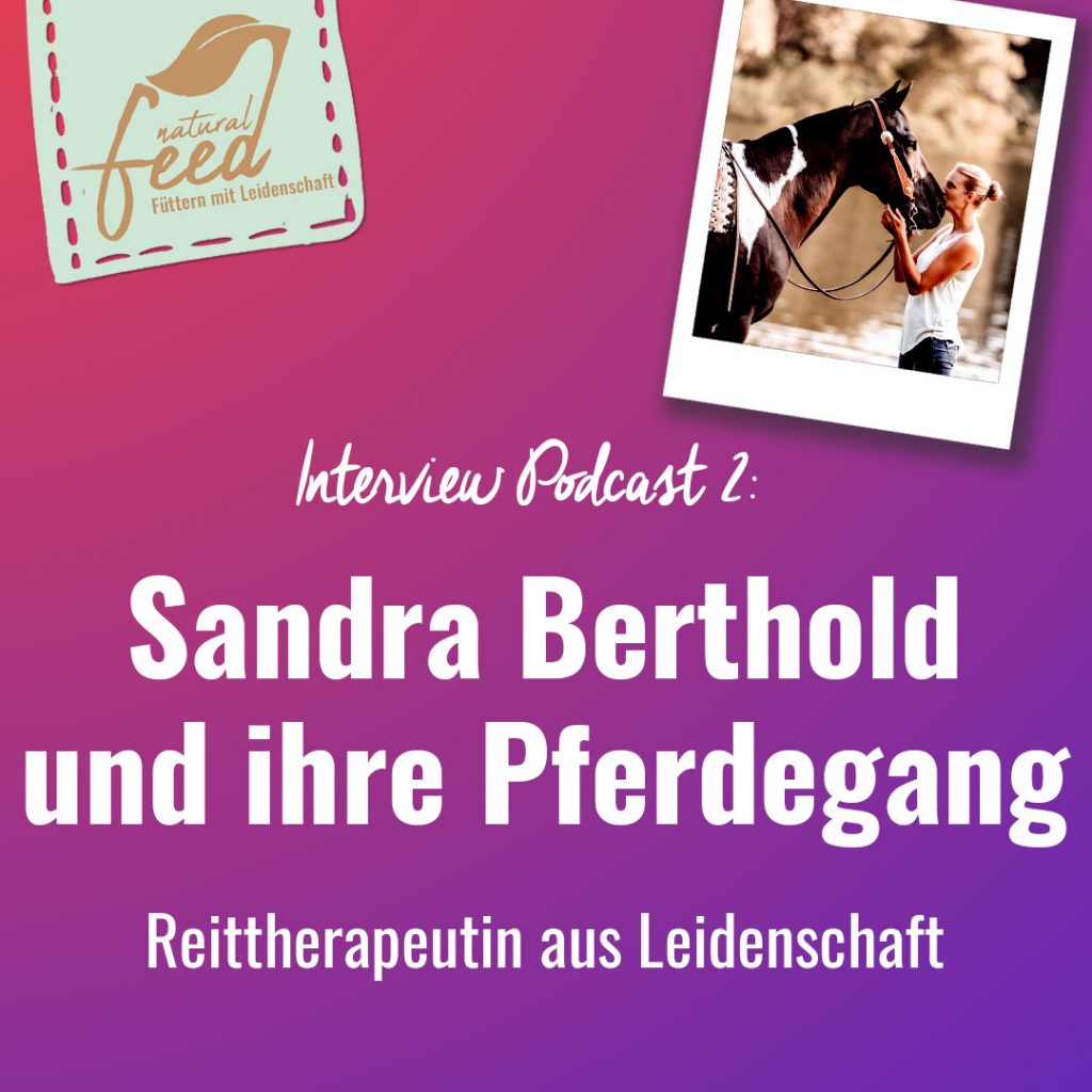 Der richtige Umgang mit einem PSSM 1 Pferd. Sandra Berthold im Interview.
